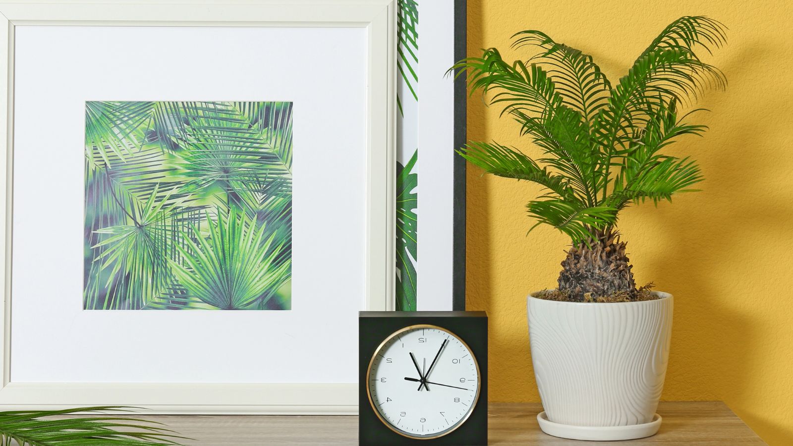 Potted Sago Palm, δίπλα σε ένα ρολόι και έτσι ψηφιακή τέχνη.